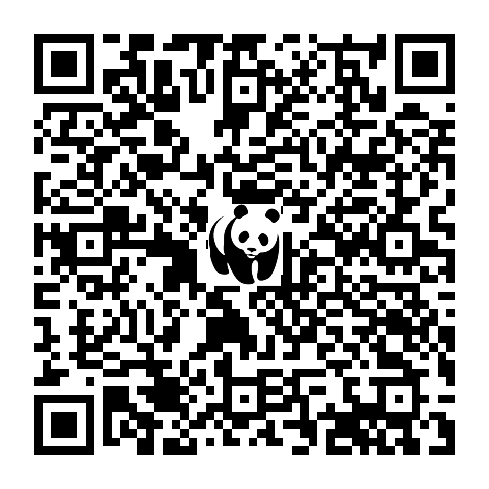 Scan deze QR-code om te doneren (vernieuw de pagina als je geen QR-code ziet)