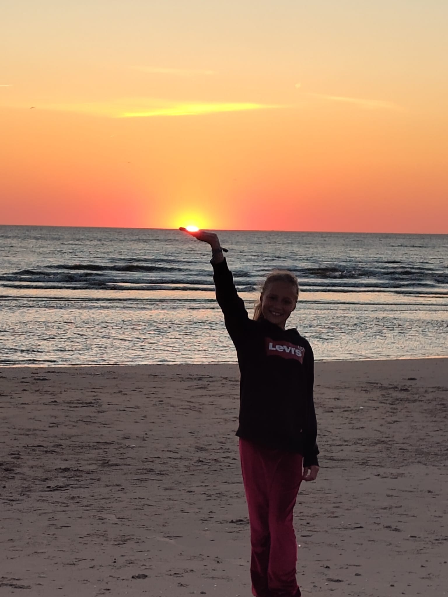 Redt de zeeschildpad