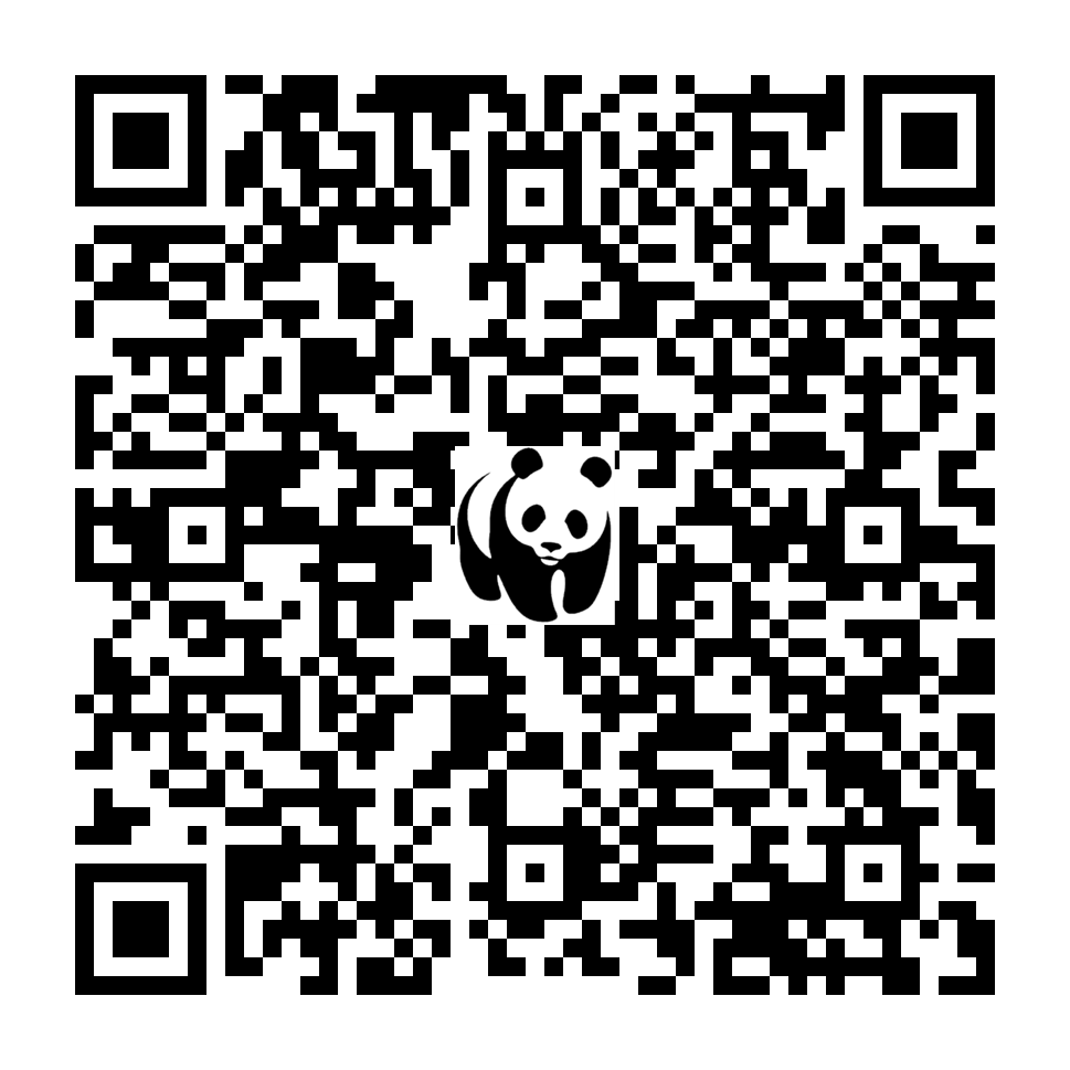 Scan deze QR-code om te doneren (vernieuw de pagina als je geen QR-code ziet)