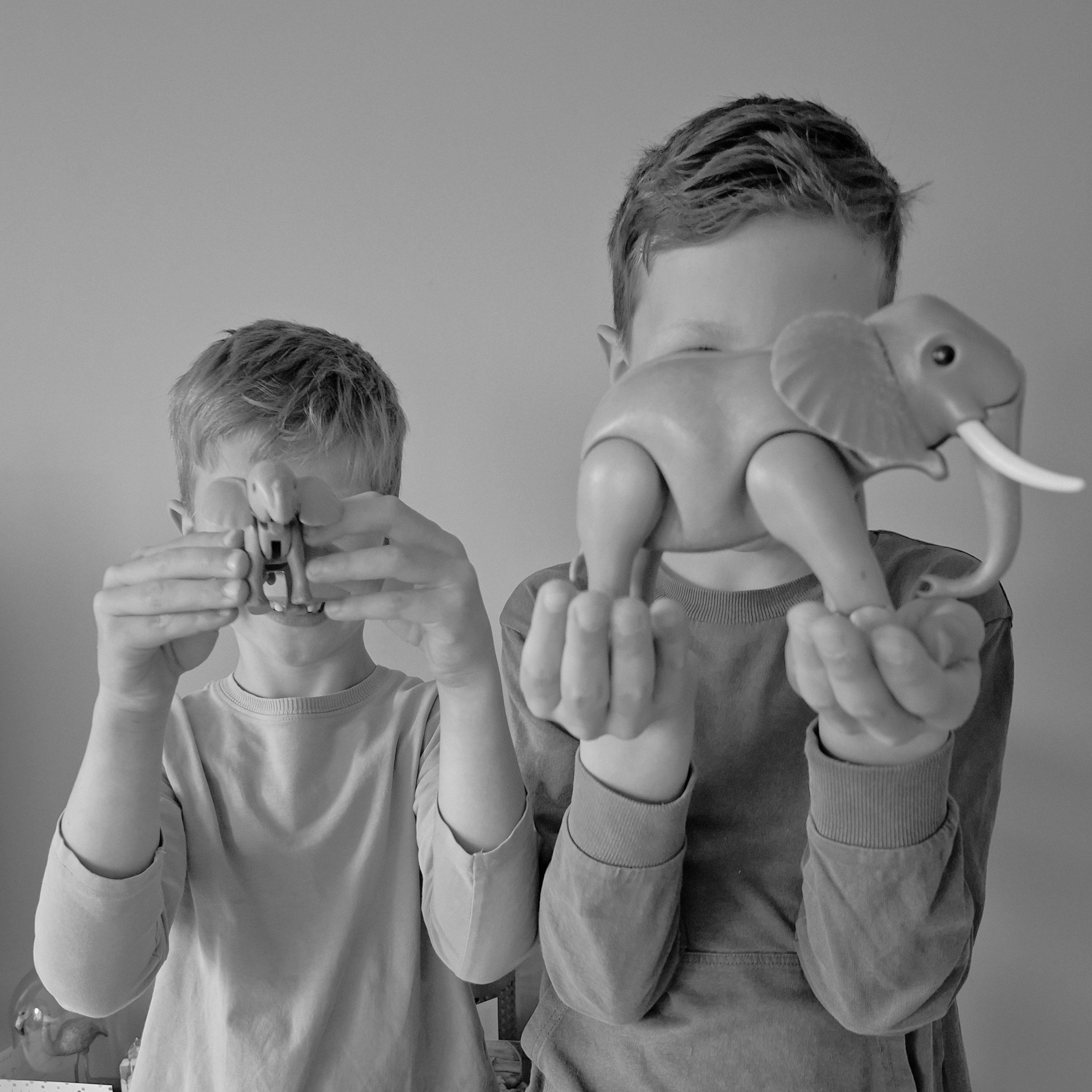Bescherm 1 bosolifant
