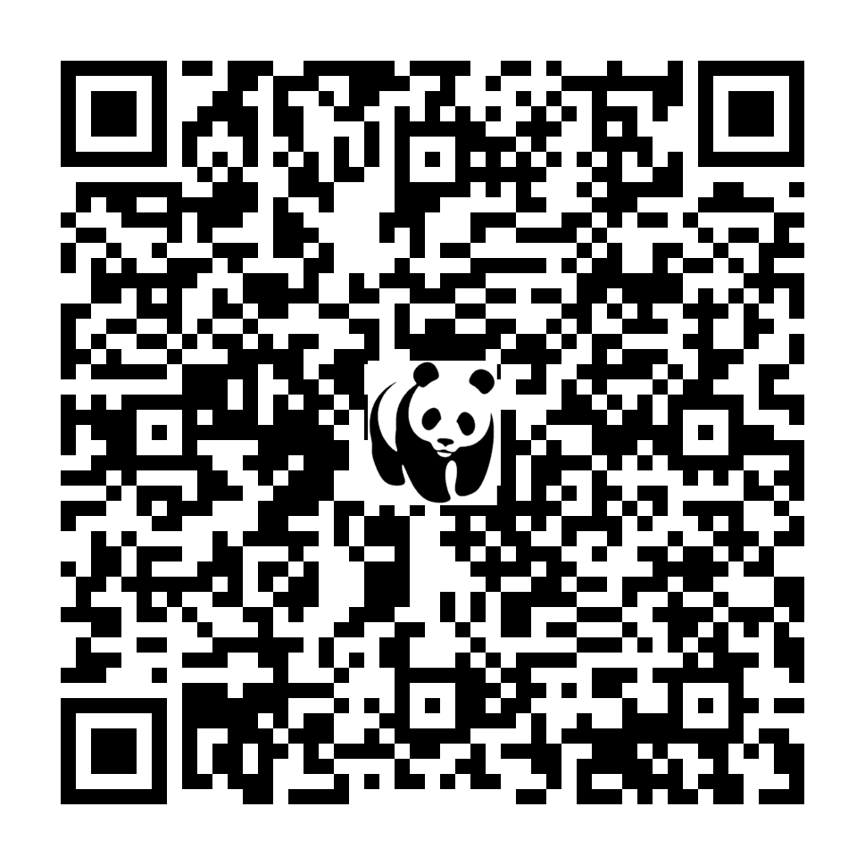 Scan deze QR-code om te doneren (vernieuw de pagina als je geen QR-code ziet)