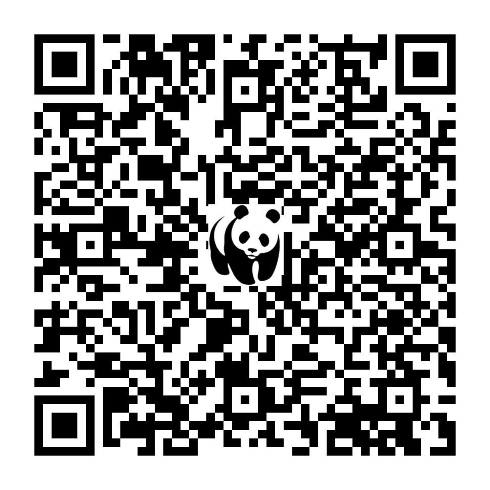 Scan deze QR-code om te doneren (vernieuw de pagina als je geen QR-code ziet)
