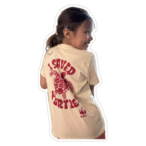 Alles voor de olifant 