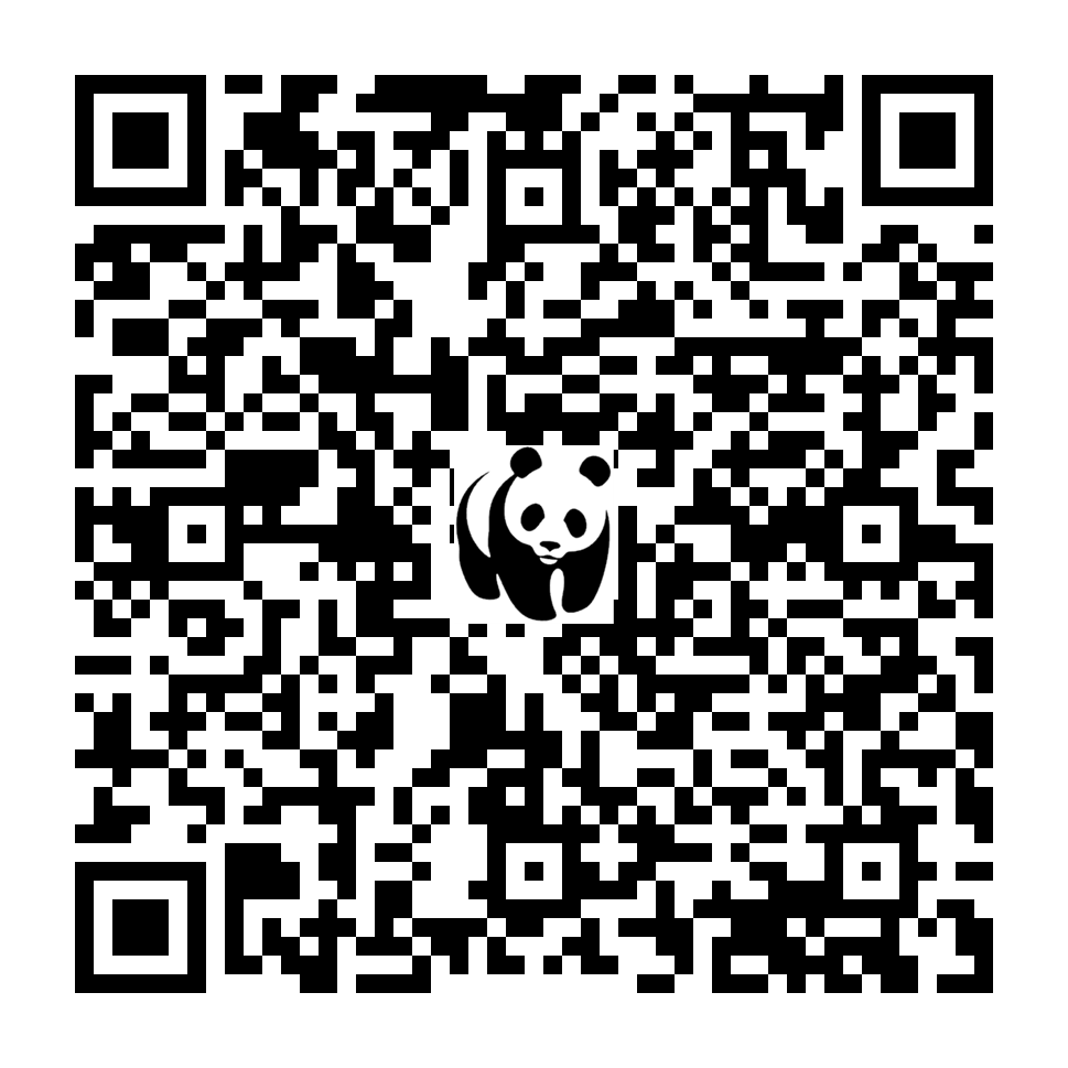 Scan deze QR-code om te doneren (vernieuw de pagina als je geen QR-code ziet)