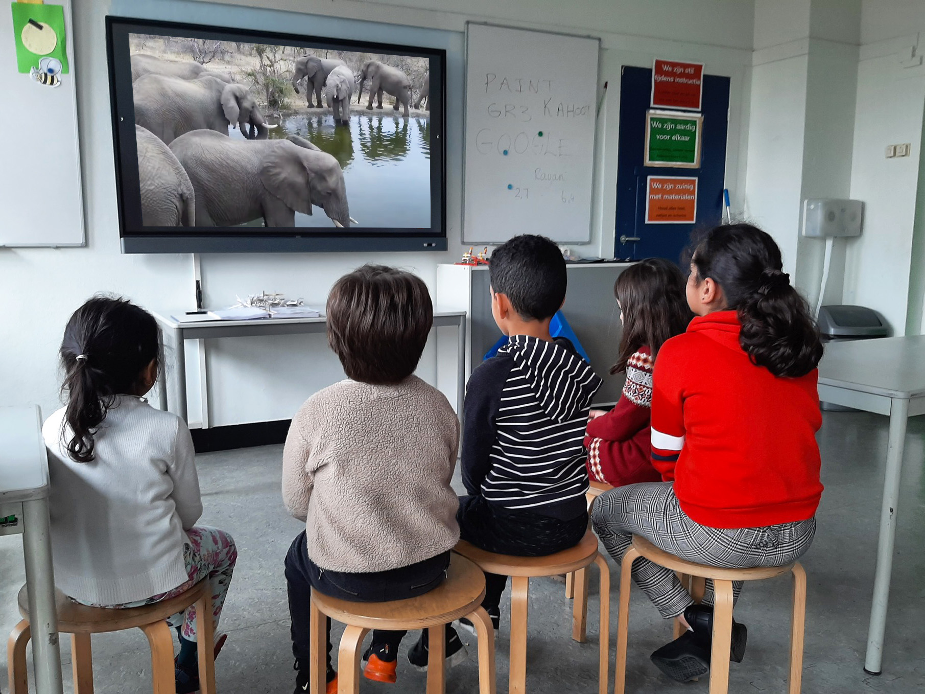 Toekomstkunde video olifanten op digibord