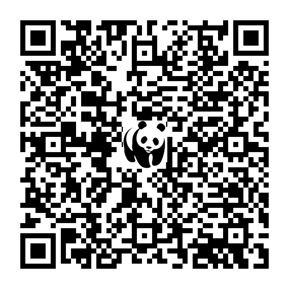 Scan deze QR-code om te doneren (vernieuw de pagina als je geen QR-code ziet)