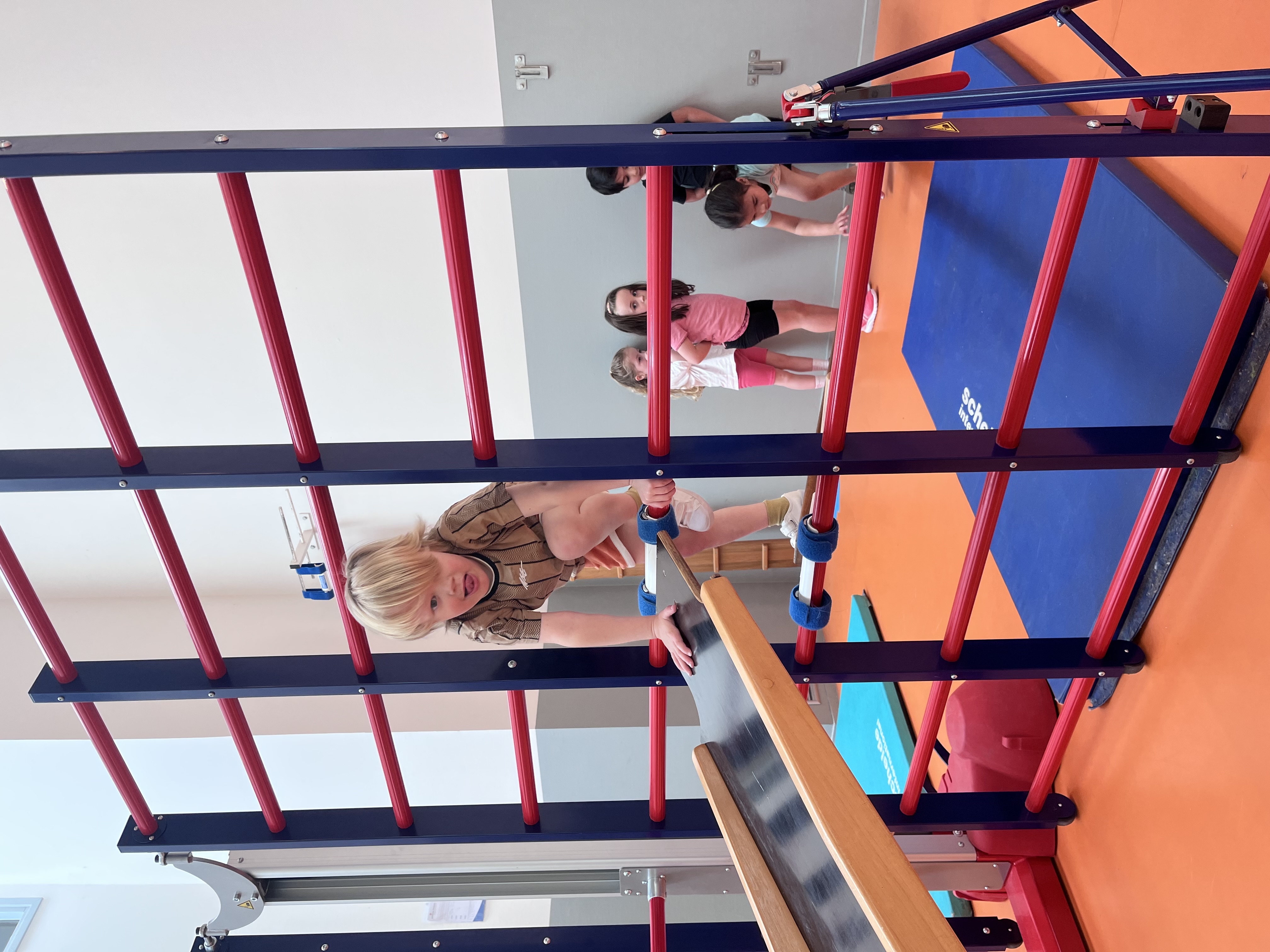 Moos voor de olifant