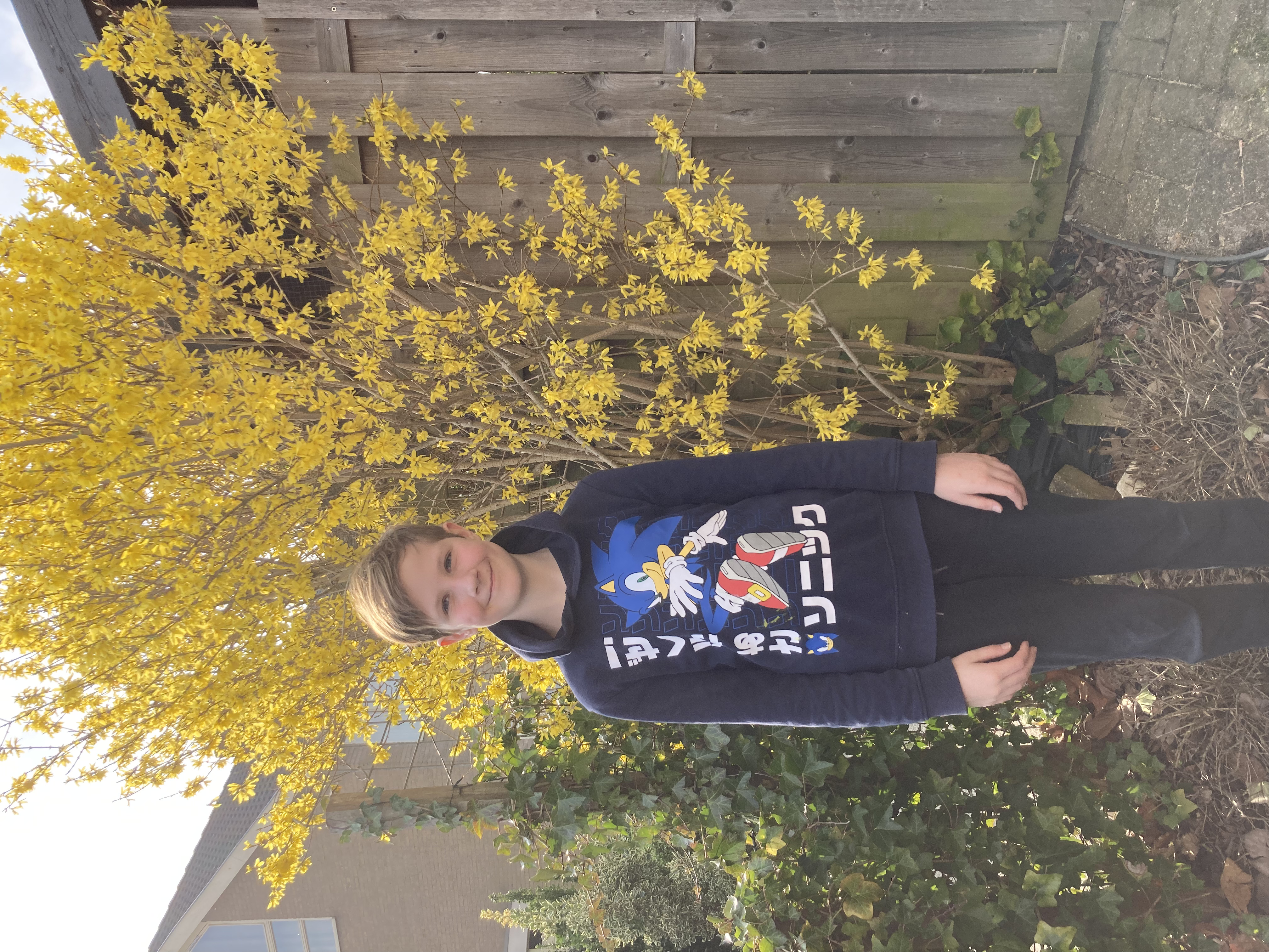 help de zee schildpadden 