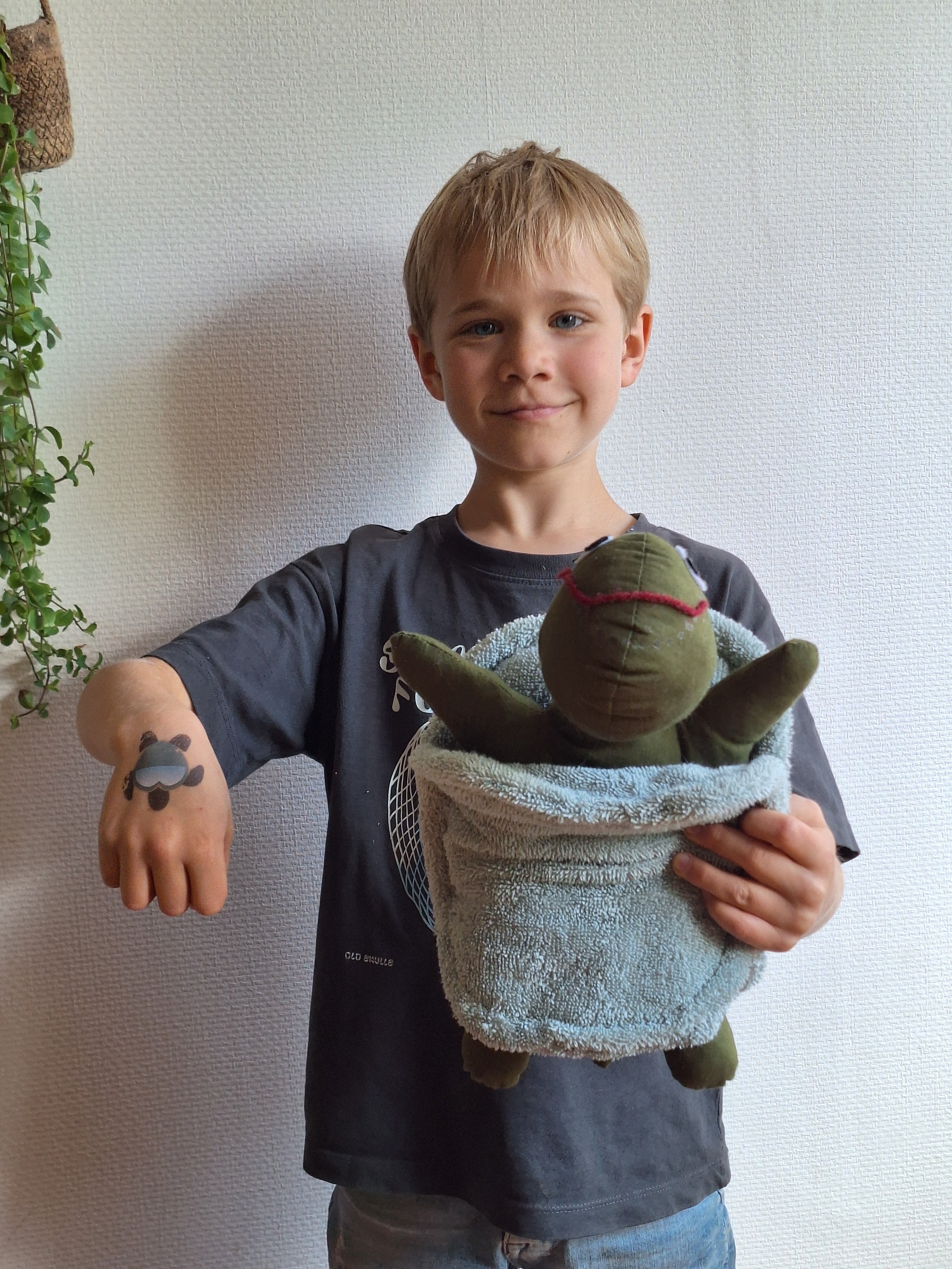 Zaadjes voor schildpadjes