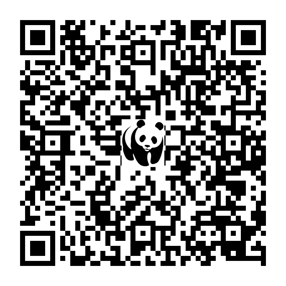 Scan deze QR-code om te doneren (vernieuw de pagina als je geen QR-code ziet)