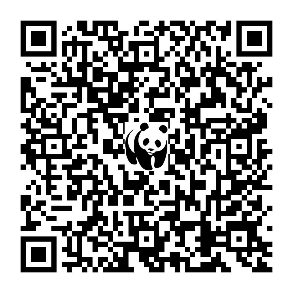 Scan deze QR-code om te doneren (vernieuw de pagina als je geen QR-code ziet)
