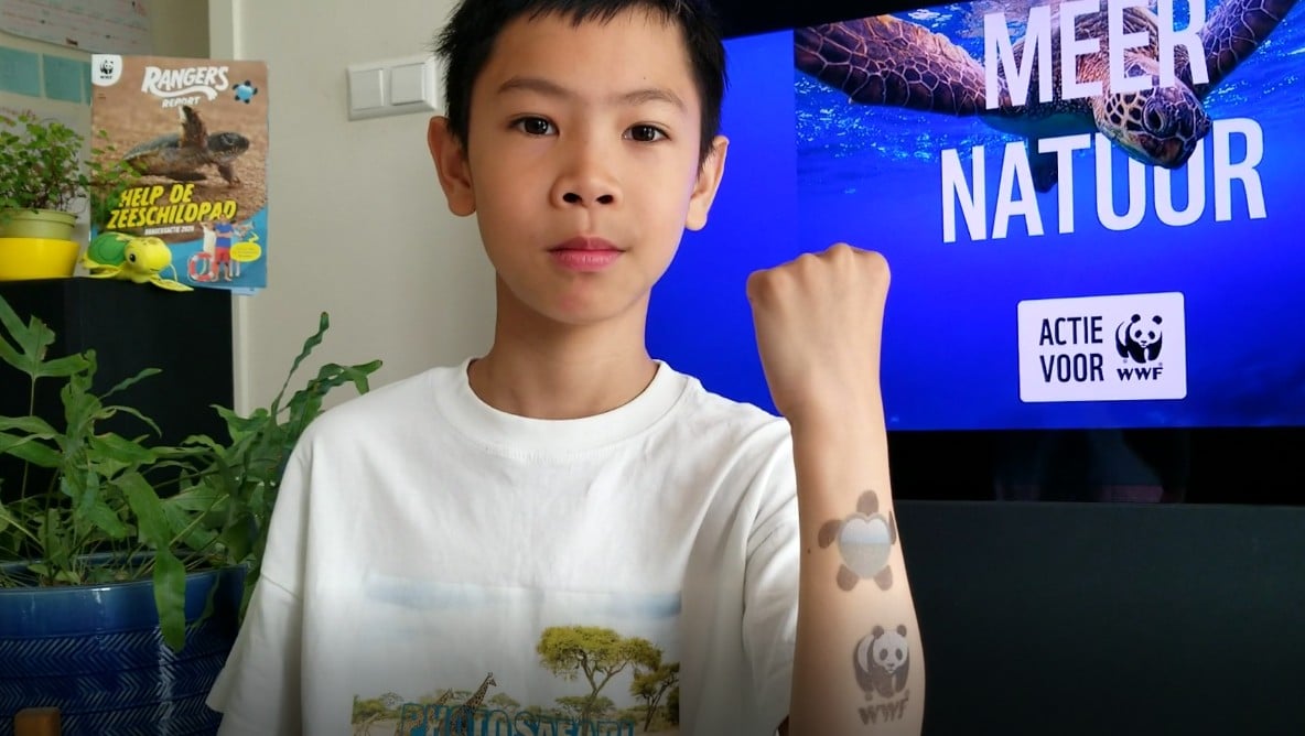 Go Go Go Turtle Power