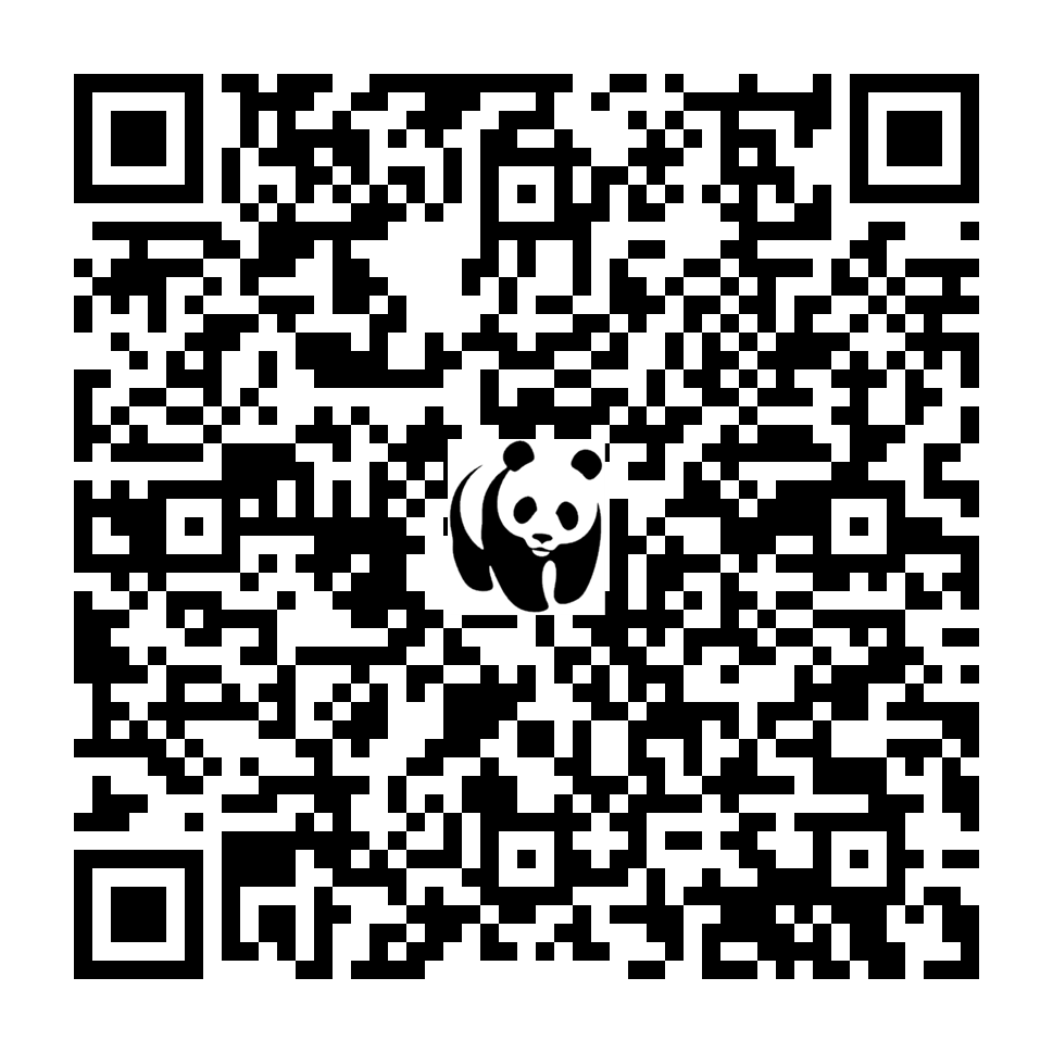 Scan deze QR-code om te doneren (vernieuw de pagina als je geen QR-code ziet)