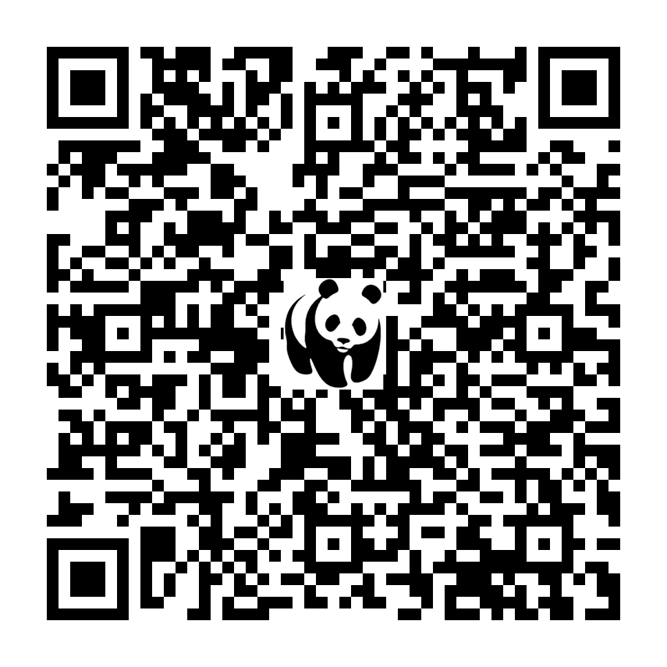 Scan deze QR-code om te doneren (vernieuw de pagina als je geen QR-code ziet)