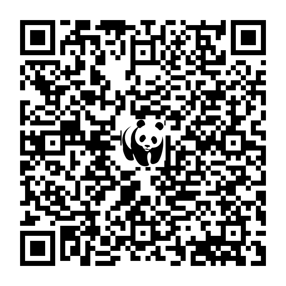Scan deze QR-code om te doneren (vernieuw de pagina als je geen QR-code ziet)