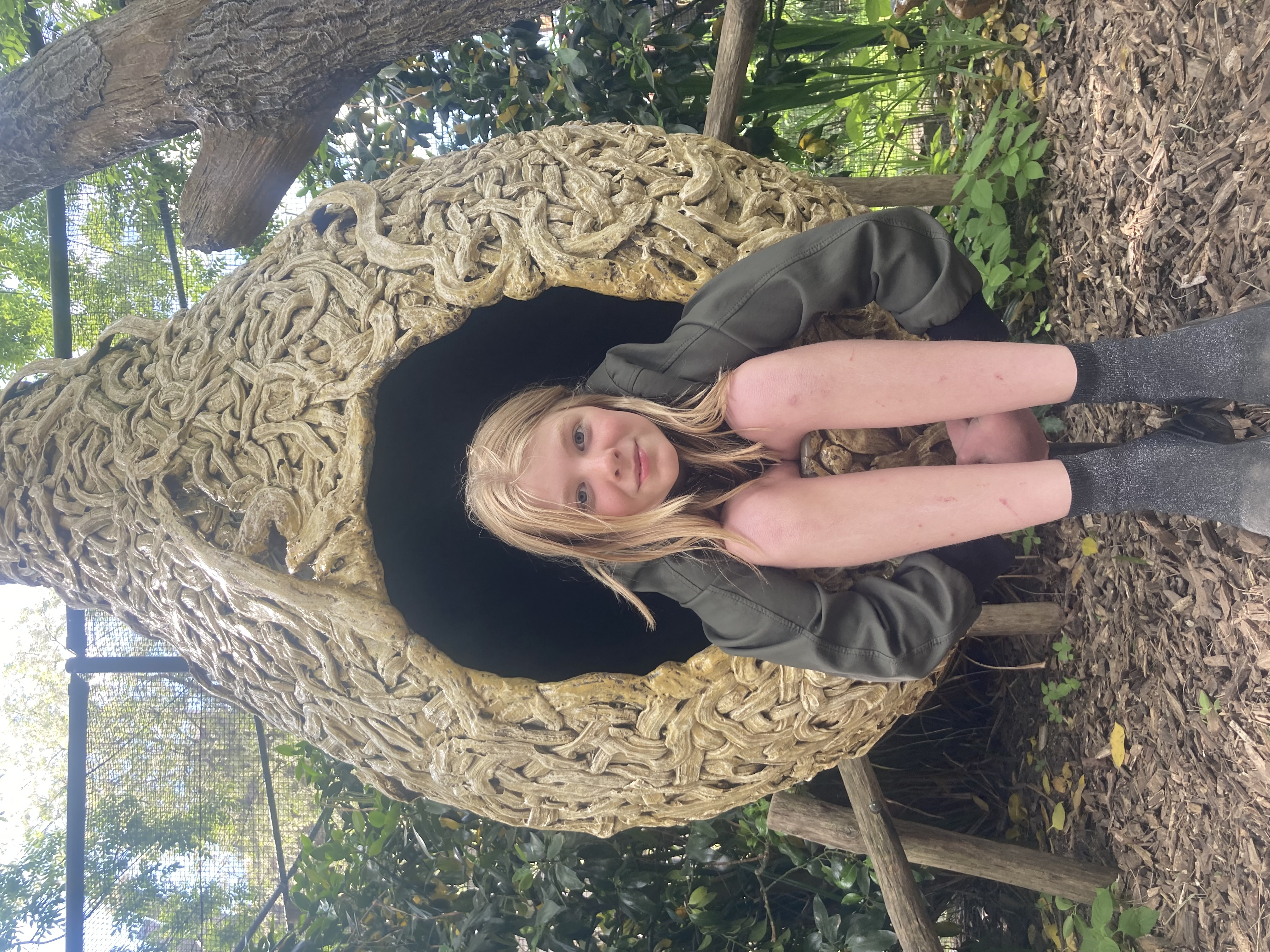 Saars Schildpaddenkoekjes