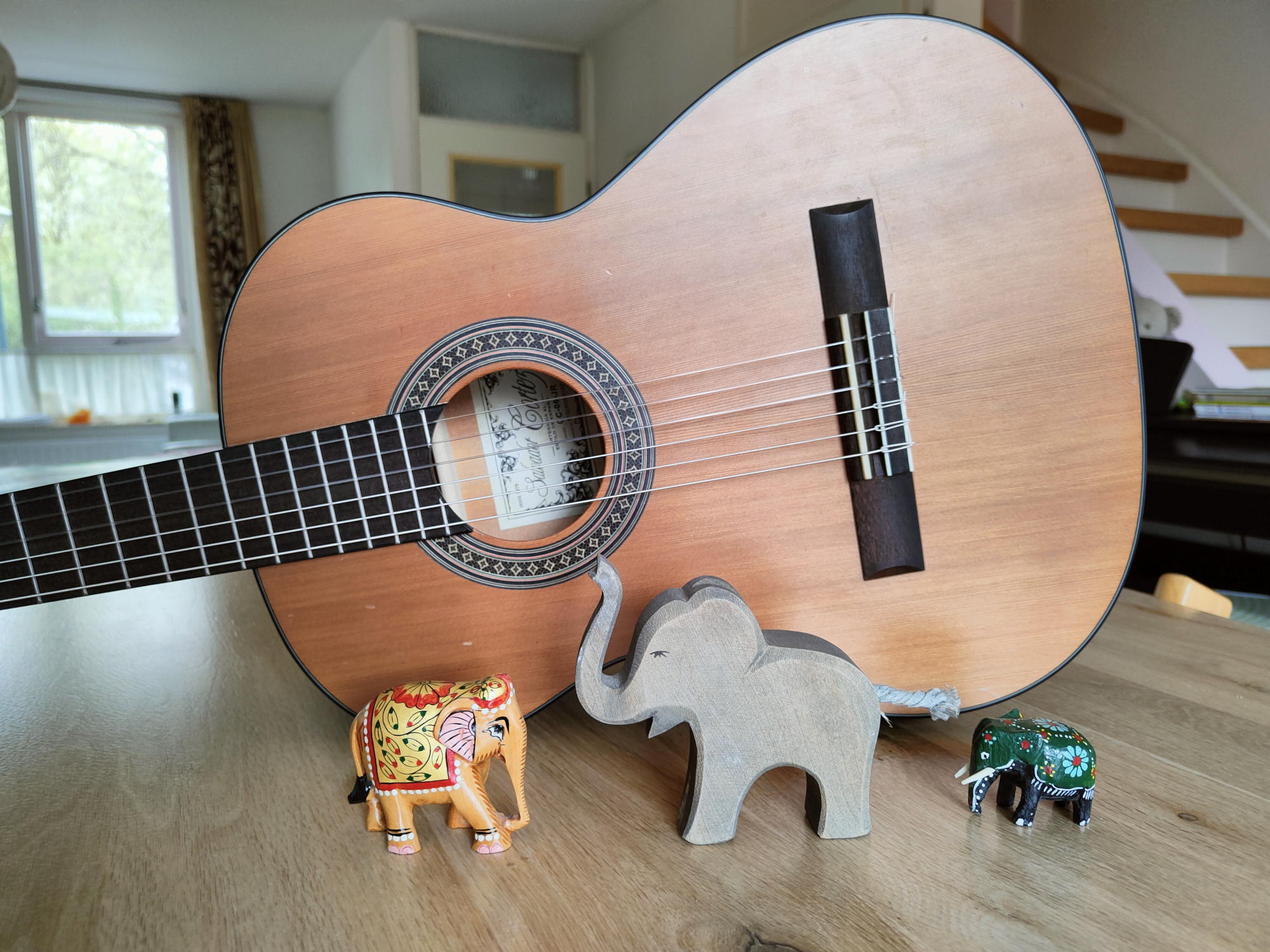 Gitaar voor de olifant