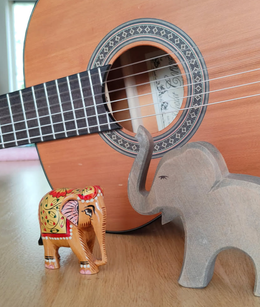 Gitaar voor de olifant