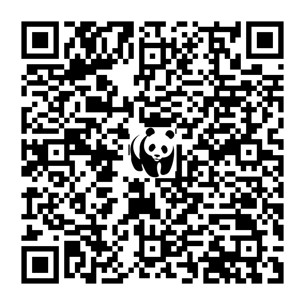 Scan deze QR-code om te doneren (vernieuw de pagina als je geen QR-code ziet)