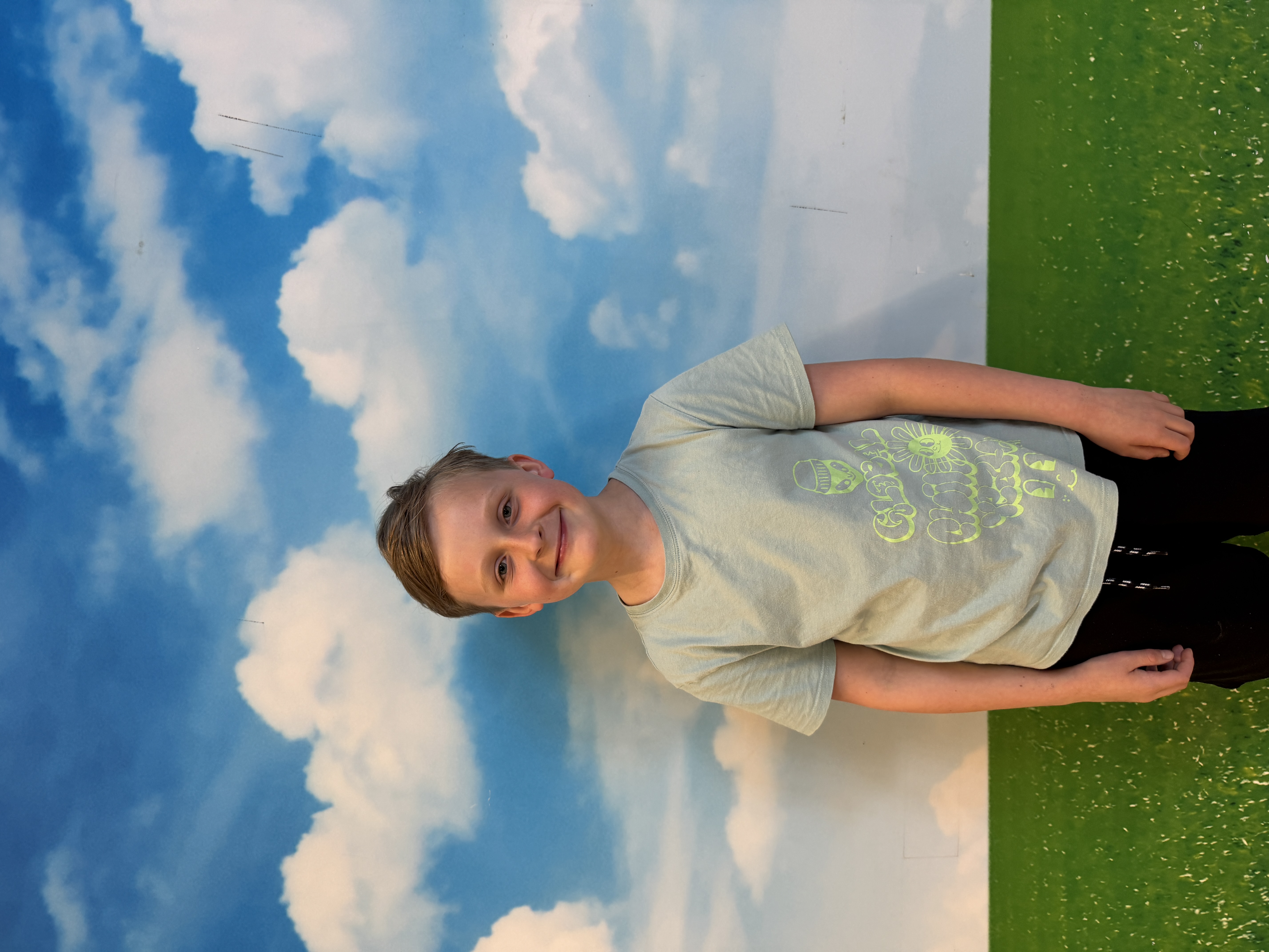 Red de zeeschildpadjes 