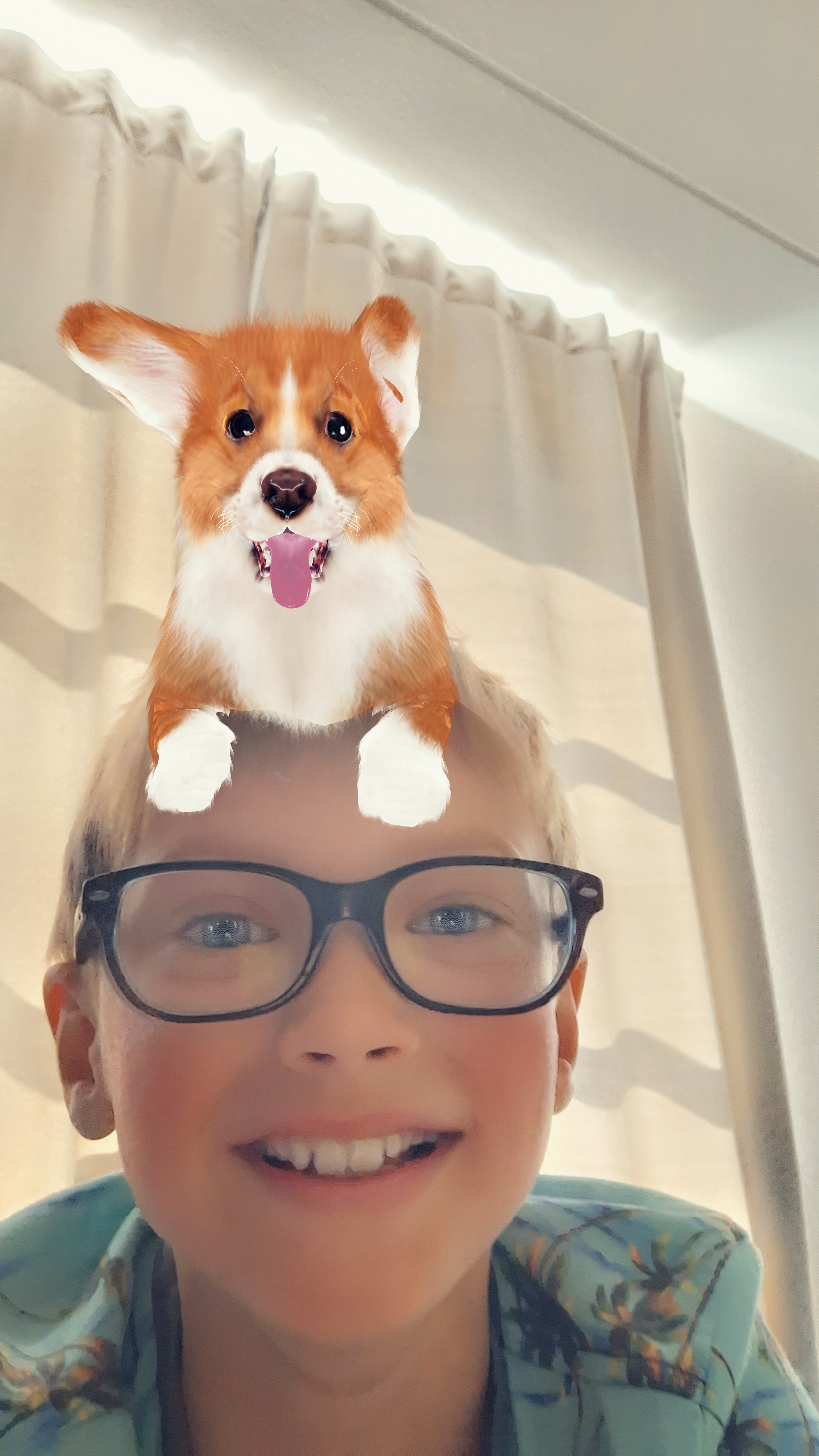 Olaf voor zeeschildpadden