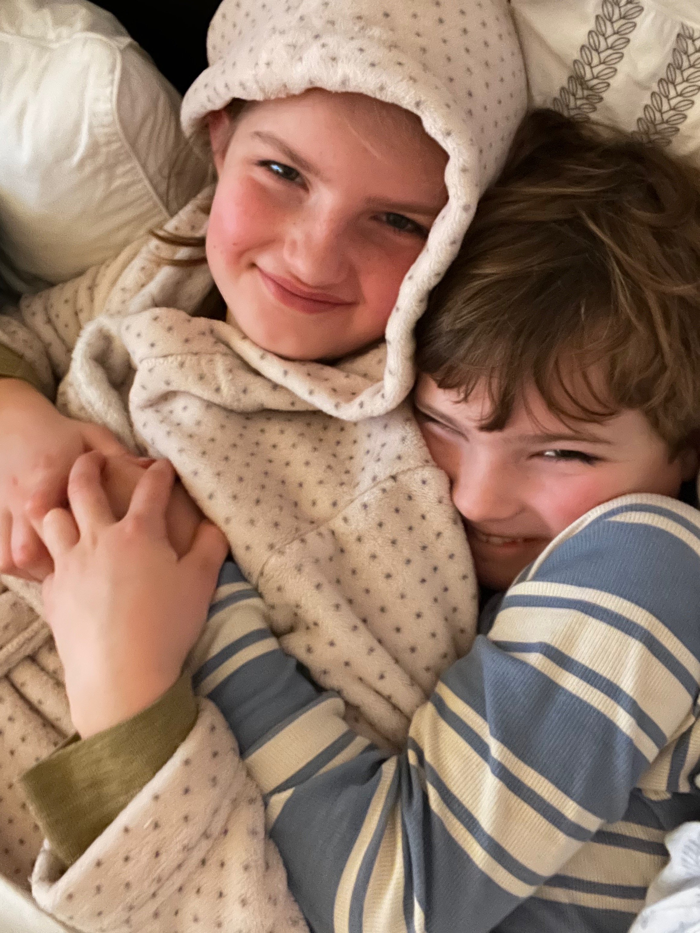 Alles voor de Olifant