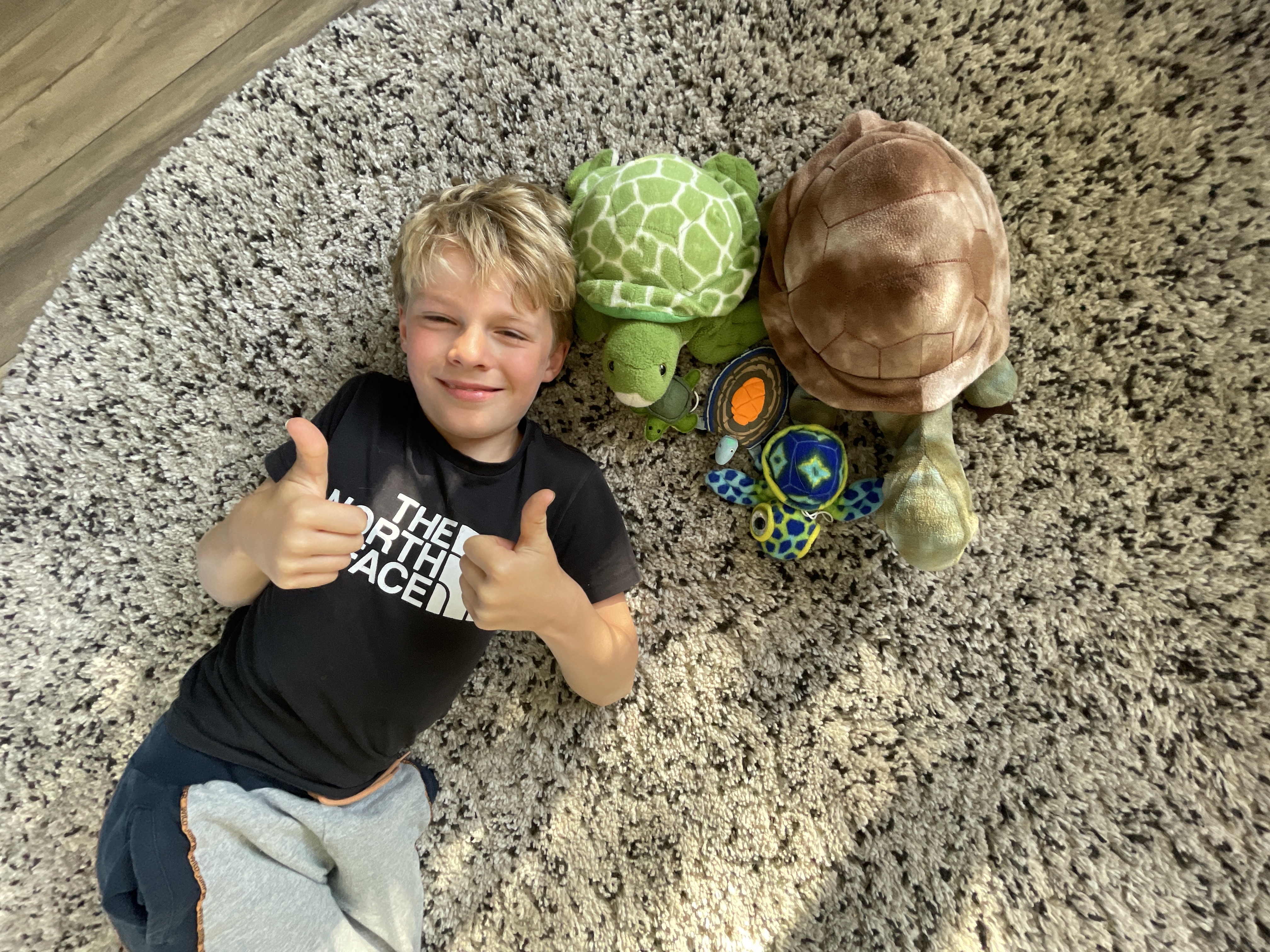 Robins schildpadbrigade