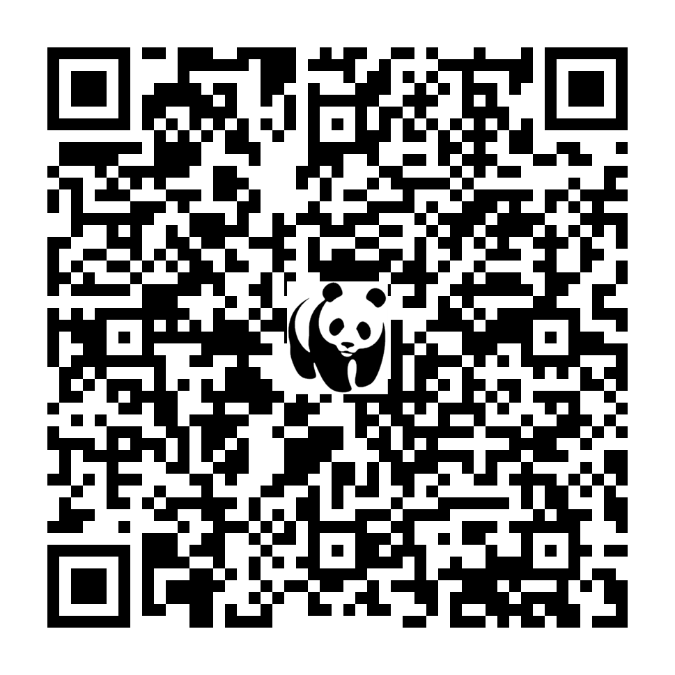 Scan deze QR-code om te doneren (vernieuw de pagina als je geen QR-code ziet)