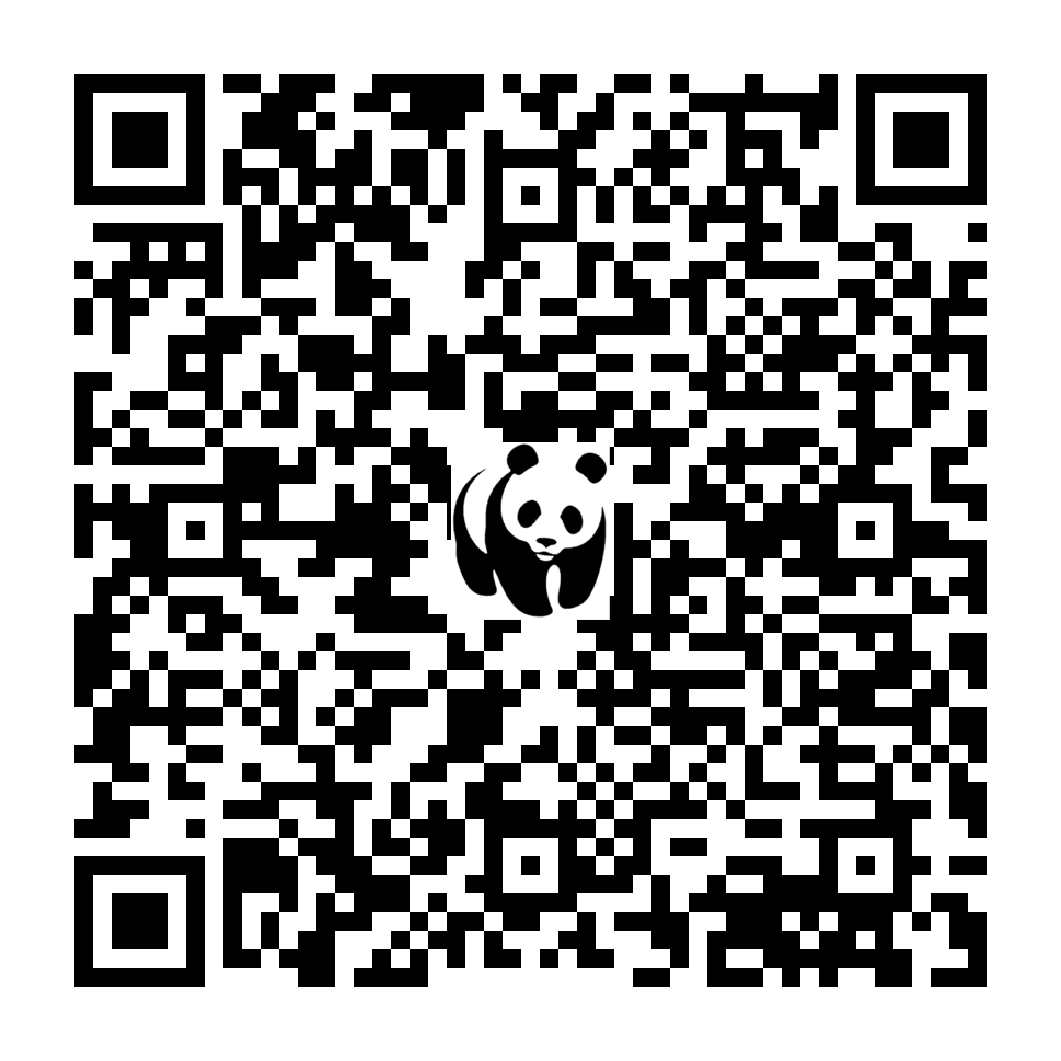 Scan deze QR-code om te doneren (vernieuw de pagina als je geen QR-code ziet)