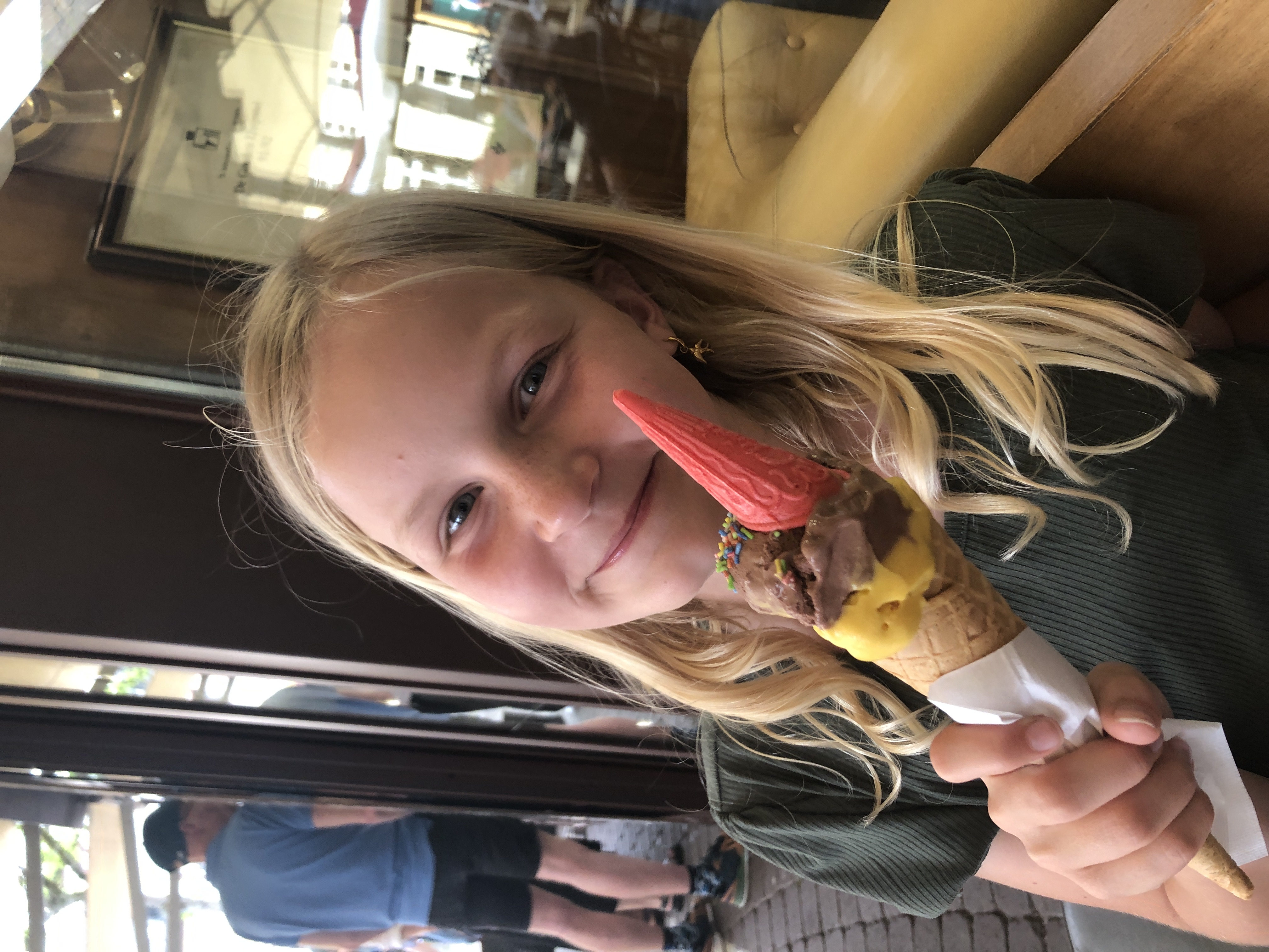 Julias schildpadbrigade