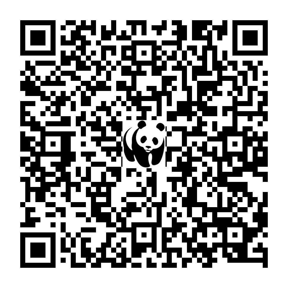 Scan deze QR-code om te doneren (vernieuw de pagina als je geen QR-code ziet)