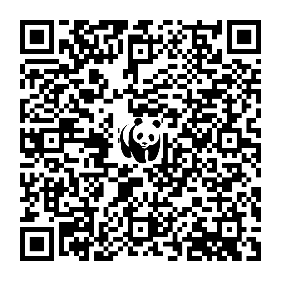 Scan deze QR-code om te doneren (vernieuw de pagina als je geen QR-code ziet)