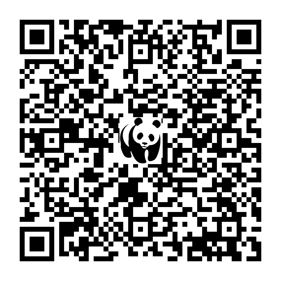 Scan deze QR-code om te doneren (vernieuw de pagina als je geen QR-code ziet)