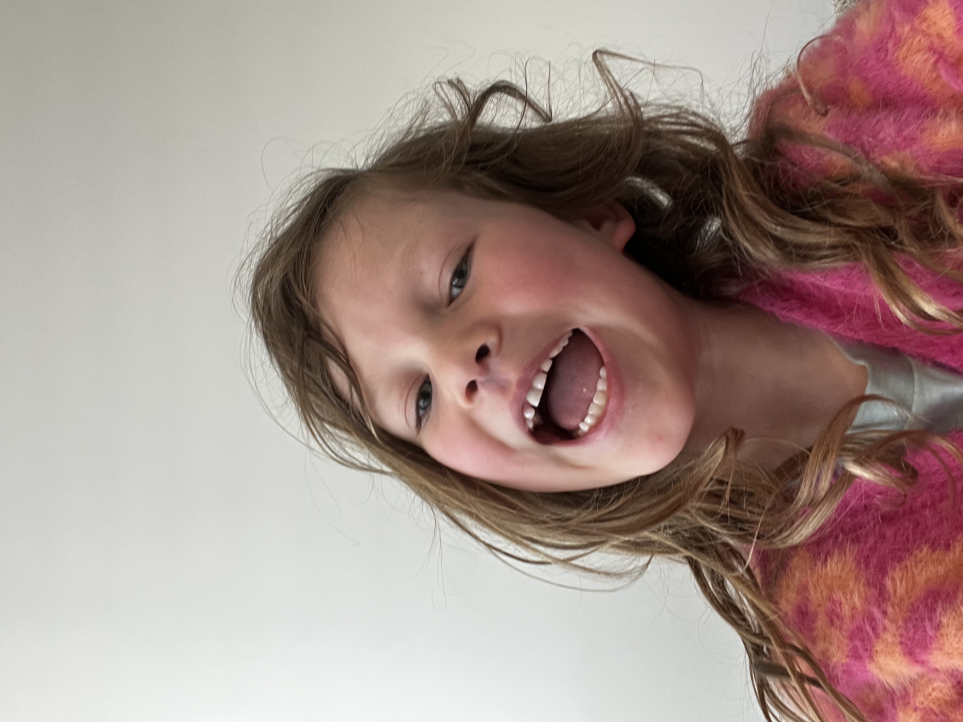 maria helpt de bosolifant