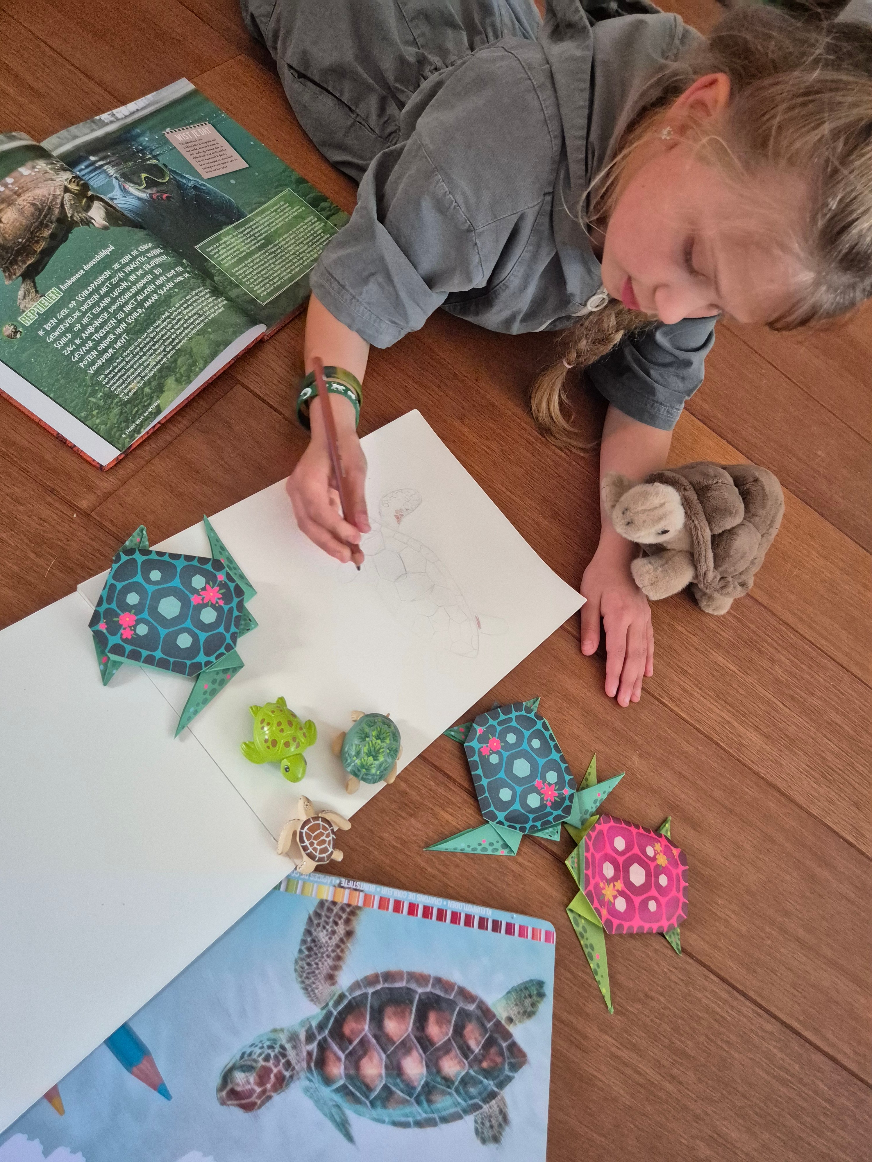 Fees schildpaddenactie