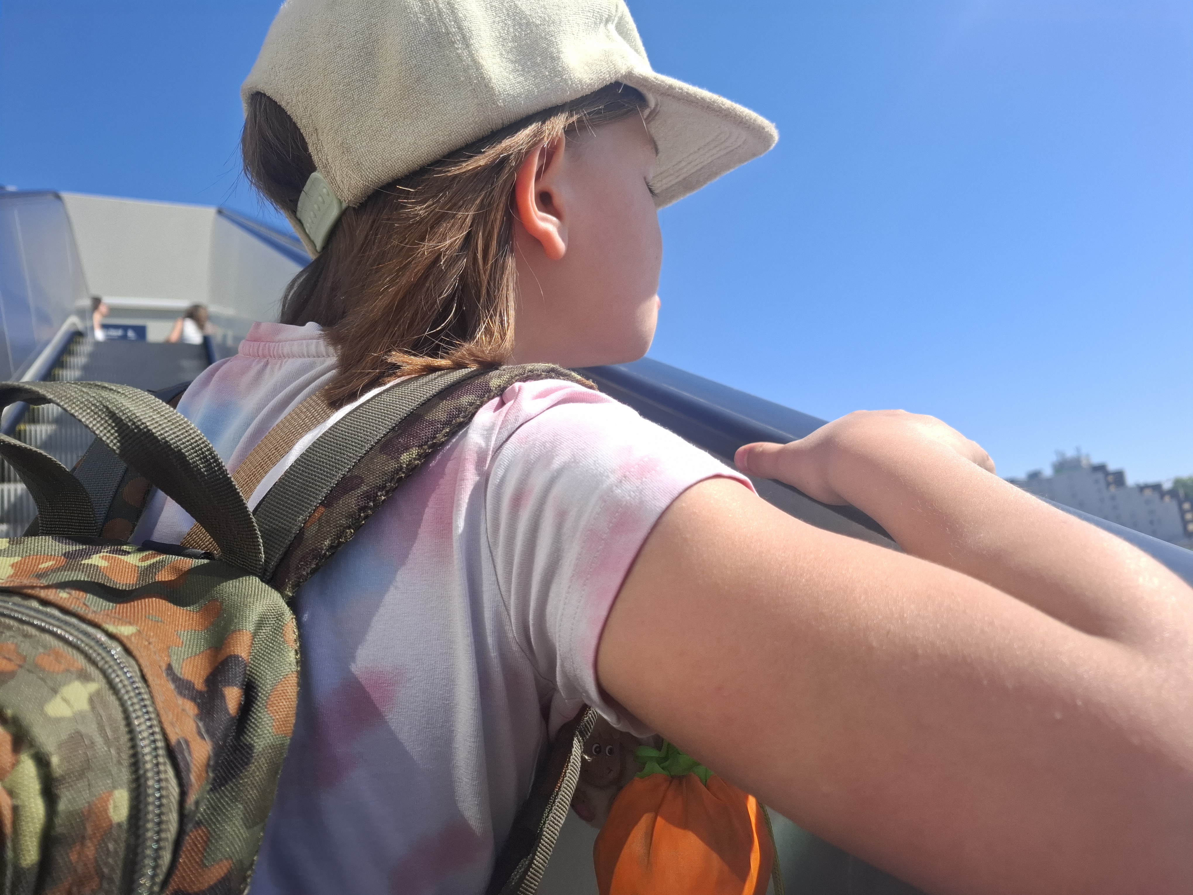 Viool voor de Olifant