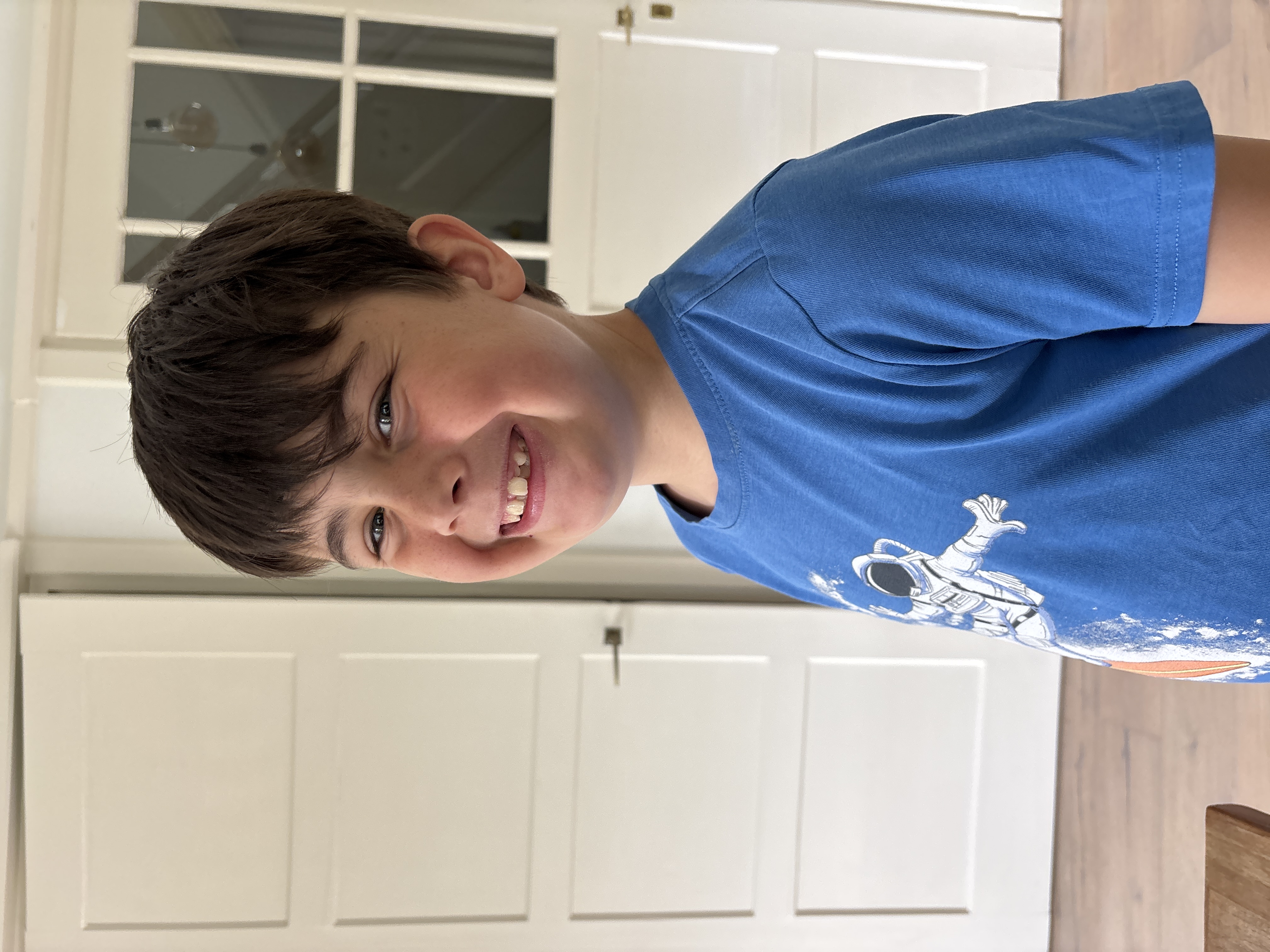 Actie Nils olifanten