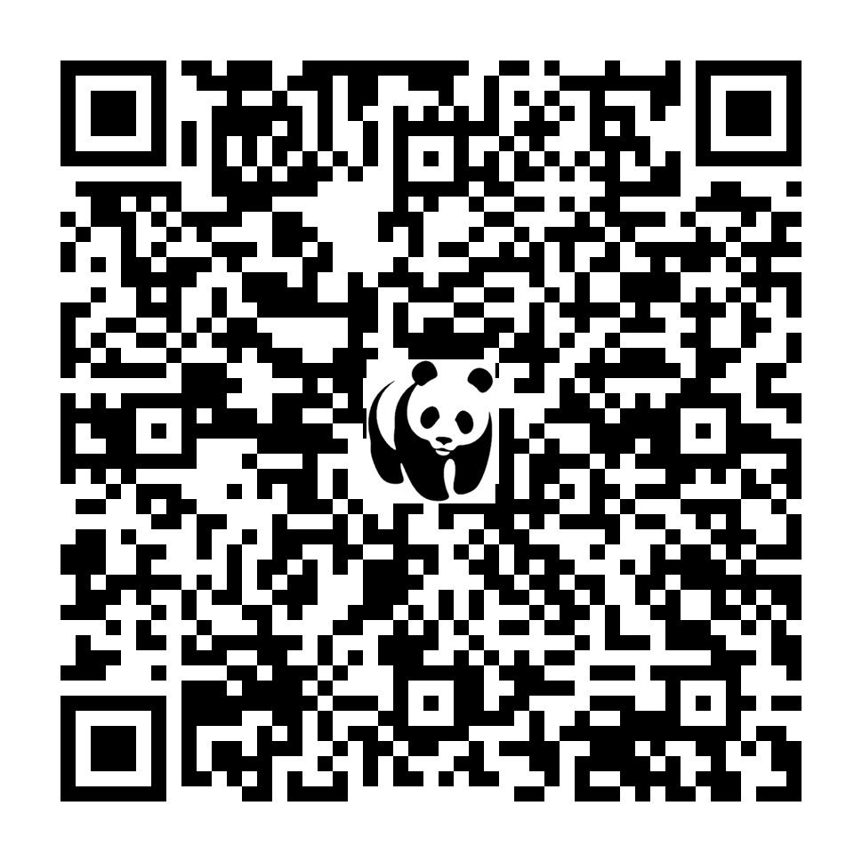 Scan deze QR-code om te doneren (vernieuw de pagina als je geen QR-code ziet)