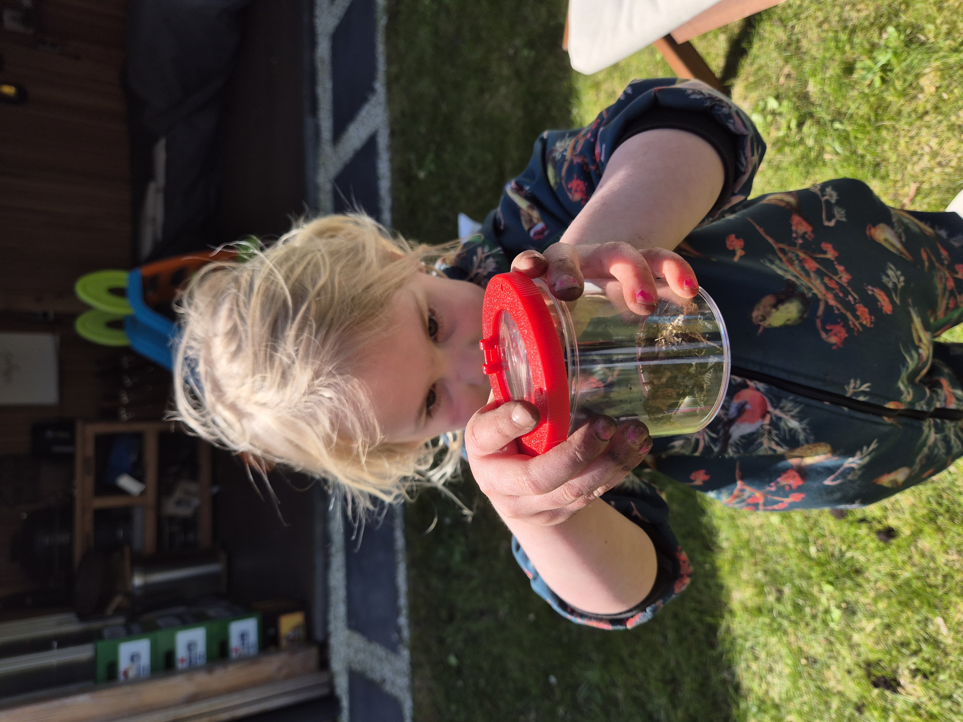 Charlottes tekeningen