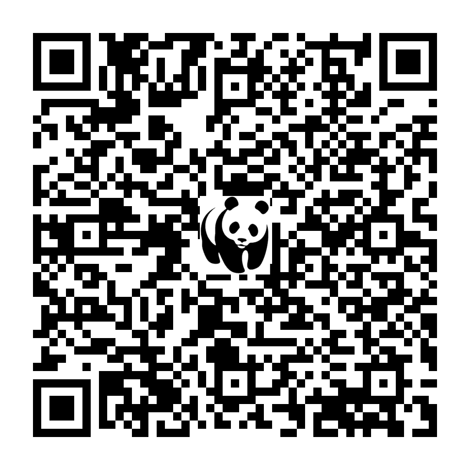 Scan deze QR-code om te doneren (vernieuw de pagina als je geen QR-code ziet)