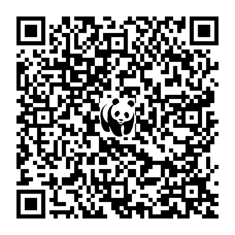 Scan deze QR-code om te doneren (vernieuw de pagina als je geen QR-code ziet)