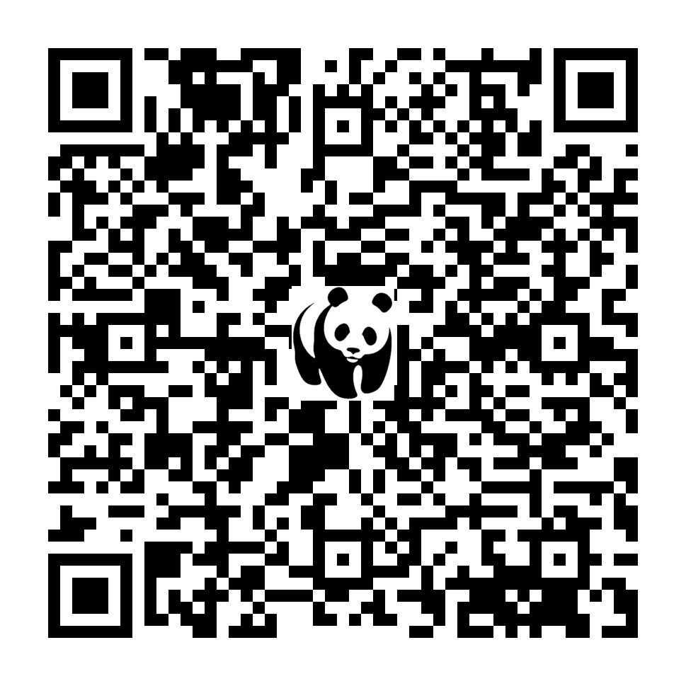 Scan deze QR-code om te doneren (vernieuw de pagina als je geen QR-code ziet)