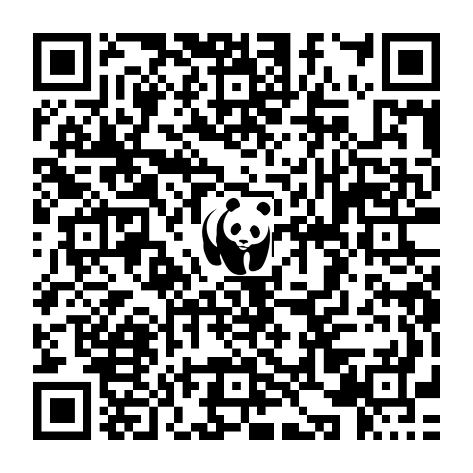 Scan deze QR-code om te doneren (vernieuw de pagina als je geen QR-code ziet)