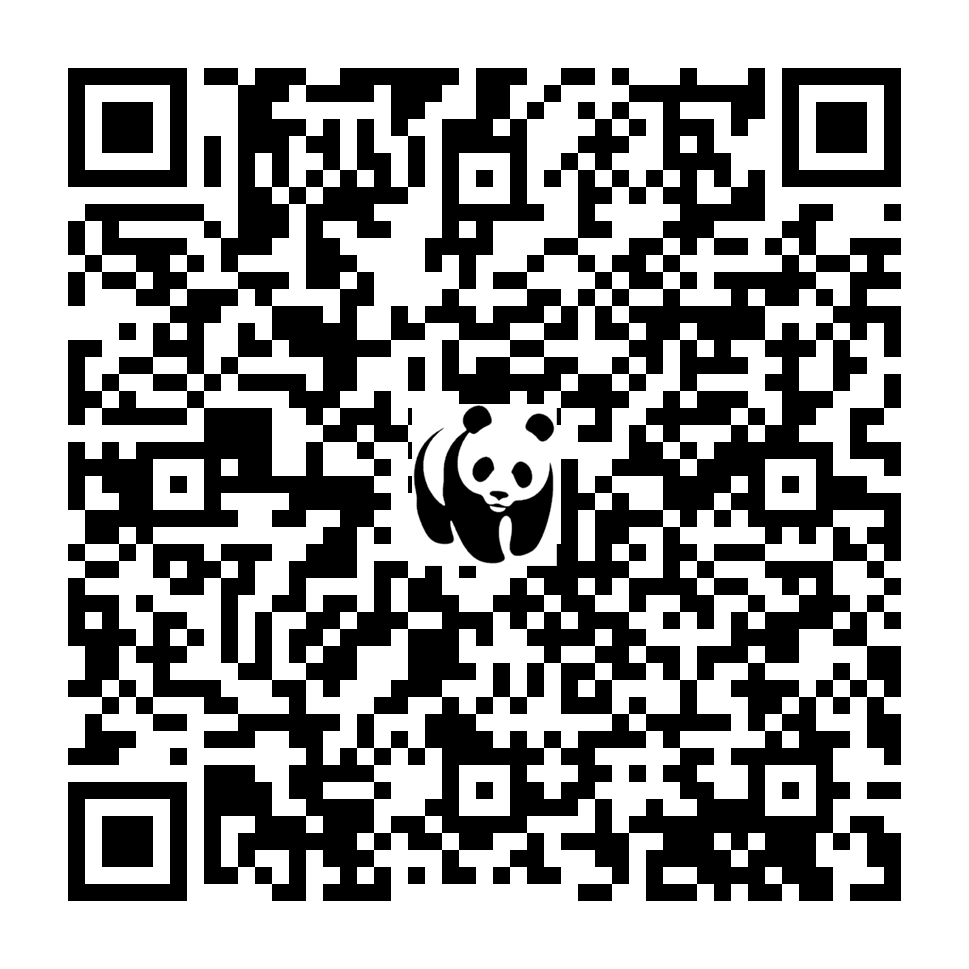 Scan deze QR-code om te doneren (vernieuw de pagina als je geen QR-code ziet)
