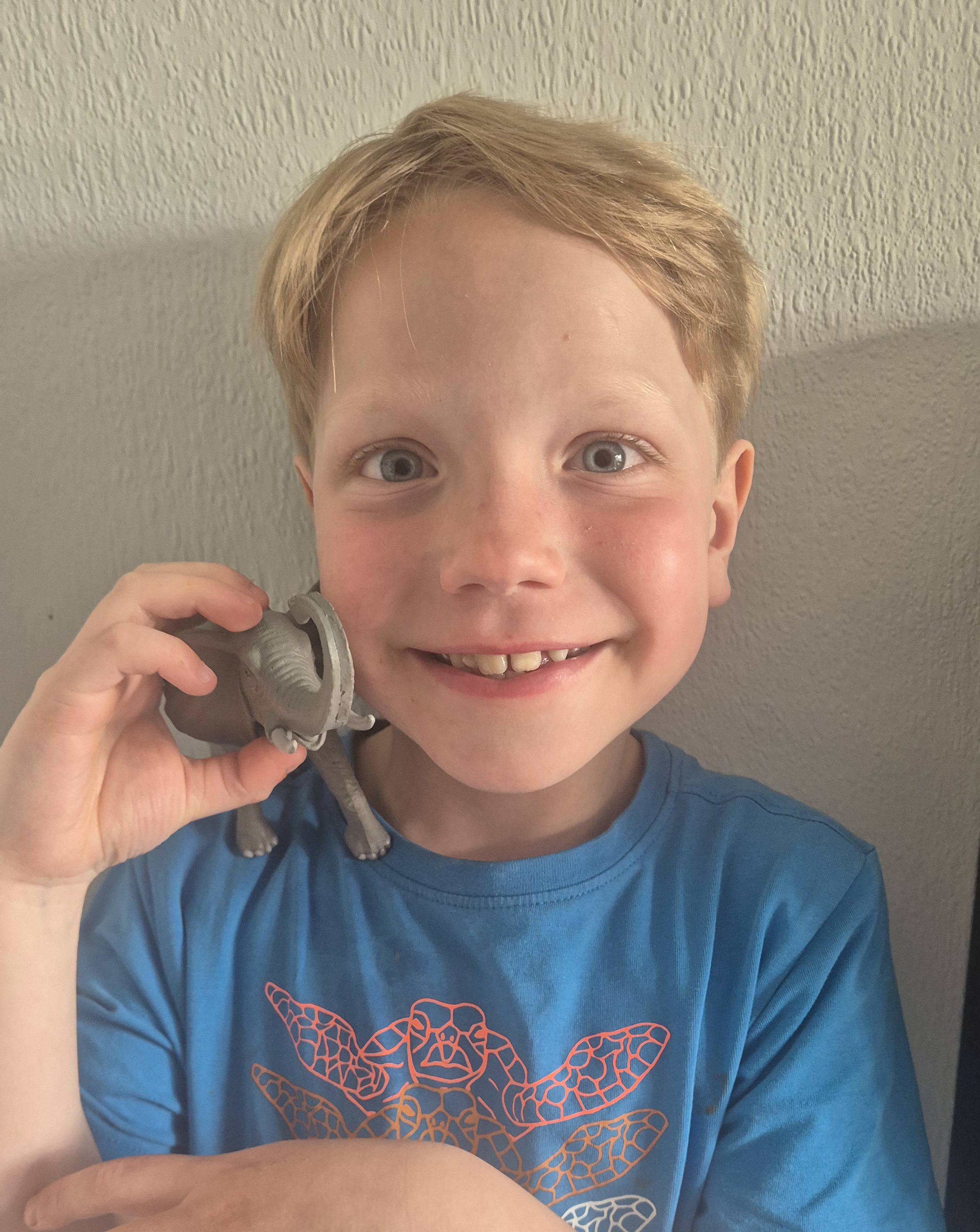 Actie red de Olifant