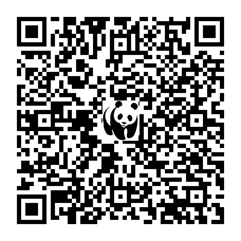 Scan deze QR-code om te doneren (vernieuw de pagina als je geen QR-code ziet)