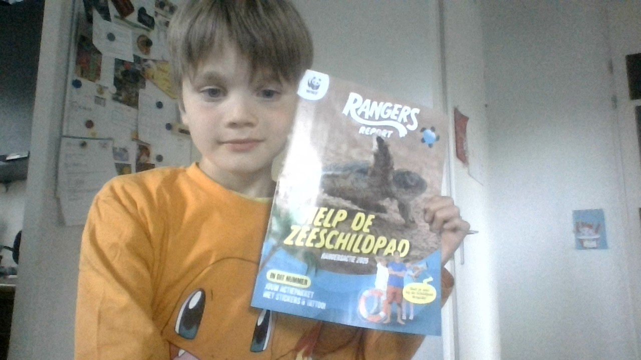 kruipies naar de zee