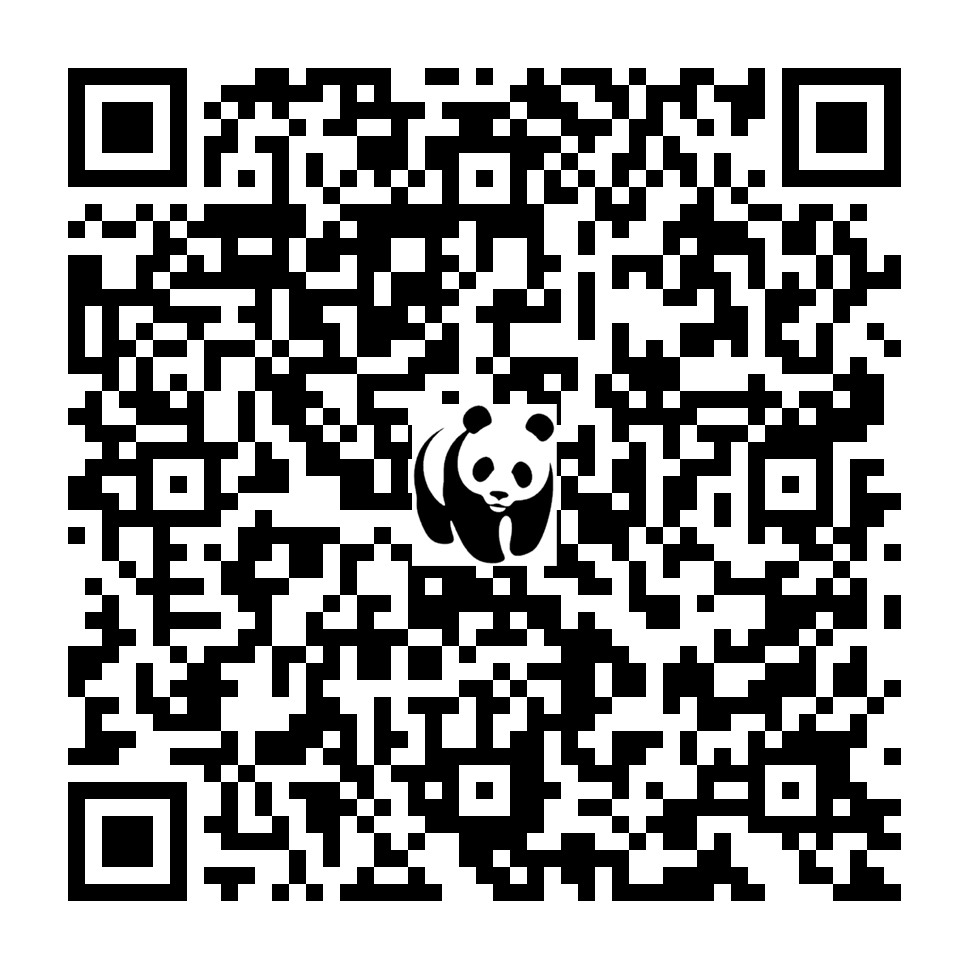 Scan deze QR-code om te doneren (vernieuw de pagina als je geen QR-code ziet)