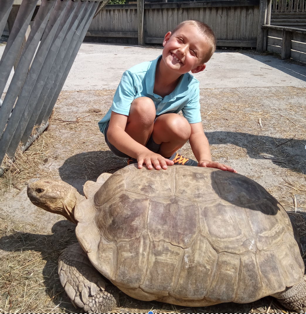 Vic redt de schildpadden