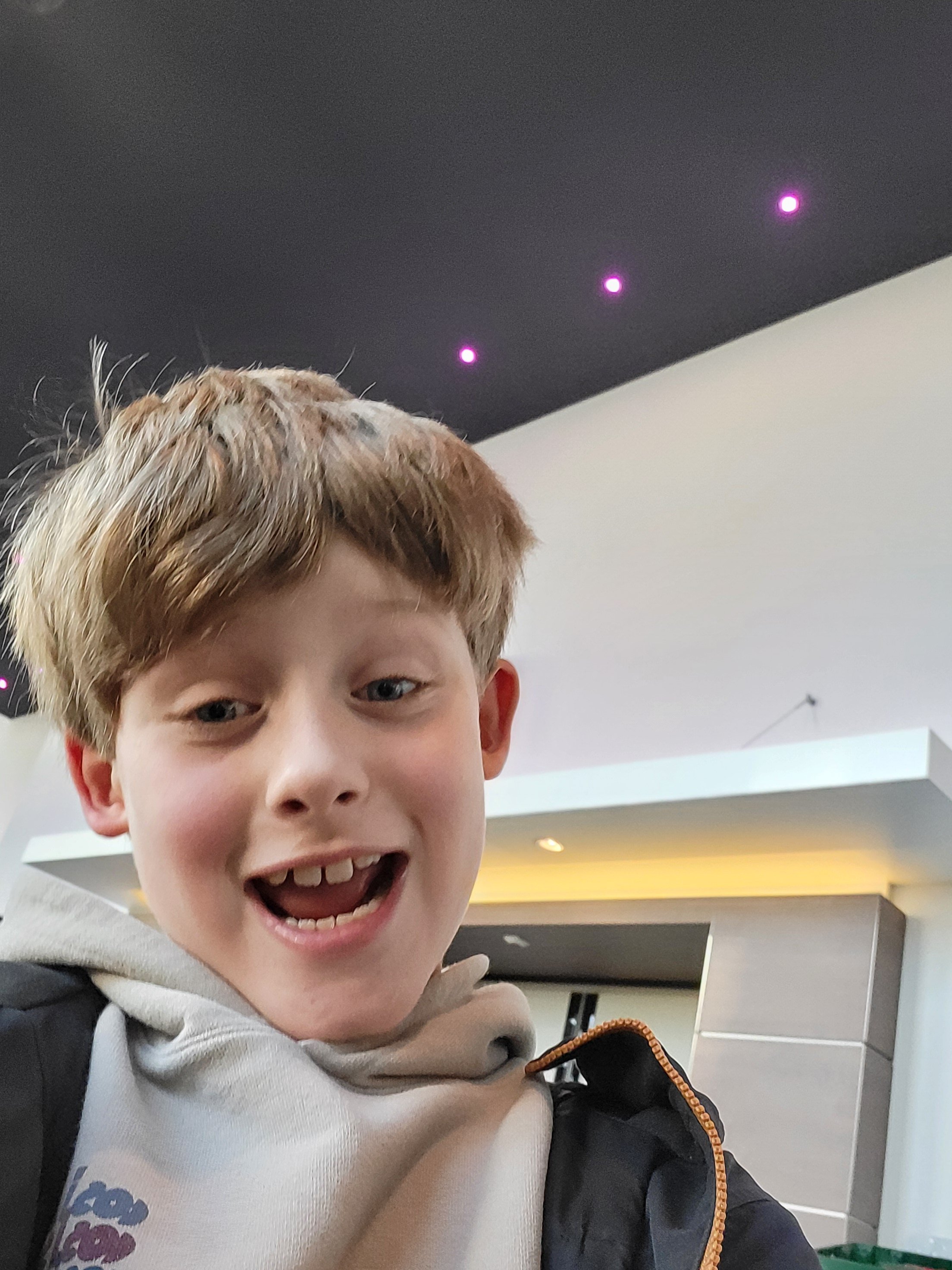 Mael redt de bosolifant